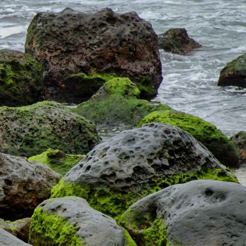 Yehliuh's Breath Photography Print Buy Now on Artezaar.com Online Art Gallery Dubai UAE