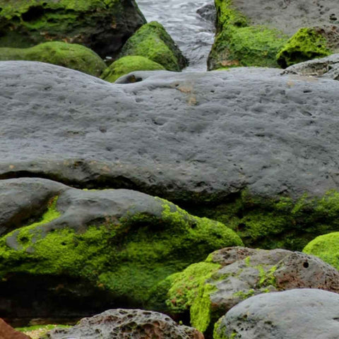 Yehliuh's Breath Photography Print Buy Now on Artezaar.com Online Art Gallery Dubai UAE