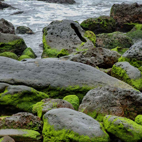 Yehliuh's Breath Photography Print Buy Now on Artezaar.com Online Art Gallery Dubai UAE
