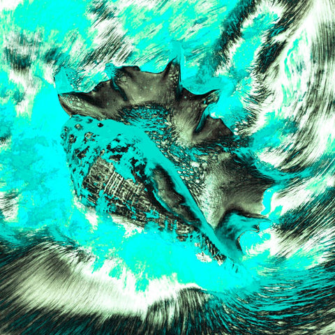 Zarmak Seashells Blue - Photography - Artezaar.com Online Art Gallery
