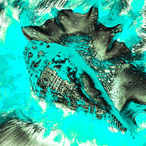 Zarmak Seashells Blue - Photography - Artezaar.com Online Art Gallery

