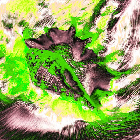 Zarmak Seashells Green - Photography - Artezaar.com Online Art Gallery