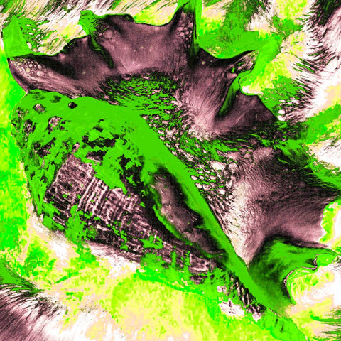 Zarmak Seashells Green - Photography - Artezaar.com Online Art Gallery
