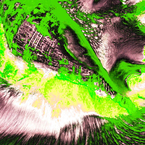 Zarmak Seashells Green - Photography - Artezaar.com Online Art Gallery