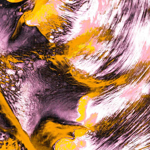 Zarmak Seashells Orange - Photography - Artezaar.com Online Art Gallery