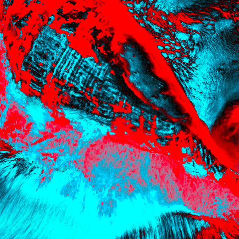 Zarmak Seashells Red & Blue - Photography - Artezaar.com Online Art Gallery