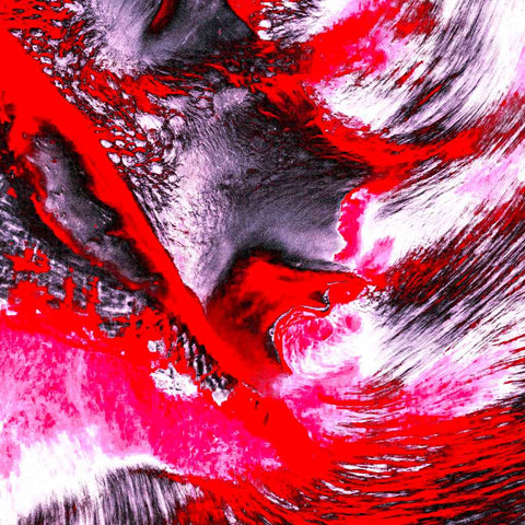 Zarmak Seashells (Red & Pink) - Photography - Artezaar.com Online Art Gallery