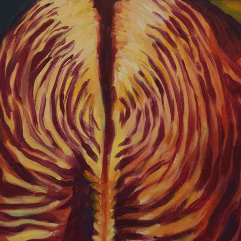 Zebra Acrylic Pop Art Buy Now on Artezaar.com Online Art Gallery Dubai UAE