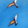 Absolute Freedom Oil Painting Buy Now on Artezaar.com Online Art Gallery Dubai UAE