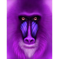 Rising of the Ape by Roula Karam Digital Art Buy now on artezaar.com Online Art Gallery