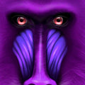 Rising of the Ape by Roula Karam Digital Art Buy now on artezaar.com Online Art Gallery