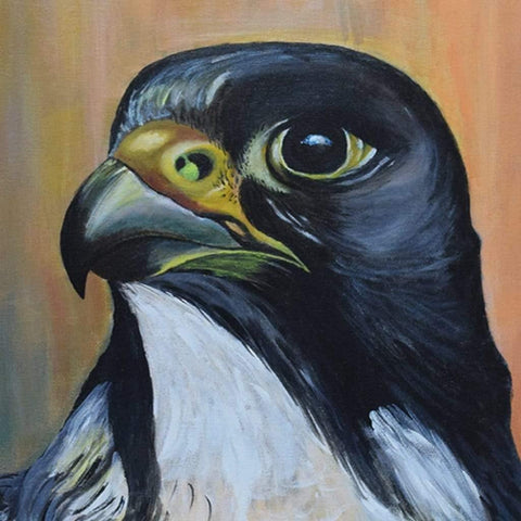 Falcon Fine Art Acrylic Painting Buy Now on Artezaar.com Online Art Gallery Dubai UAE