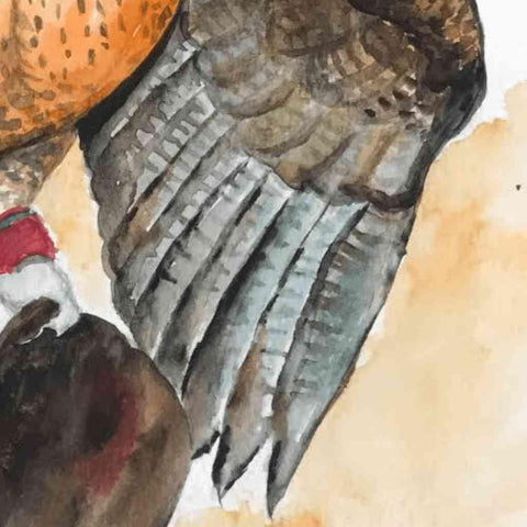 Falcon Watercolor Painting Buy Now on Artezaar.com Online Art Gallery Dubai UAE