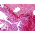Flow of Colors Abstract Acrylic Painting Buy Now on Artezaar.com Online Art Gallery Dubai UAE