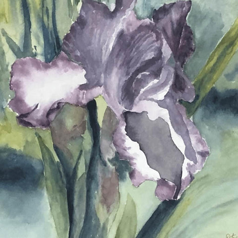 Purple Iris Fine Art Watercolor Painting Buy Now on Artezaar.com Online Art Gallery Dubai UAE
