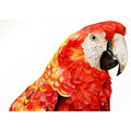 Red Macaw Hues Watercolor Painitng Buy Now on Artezaar.com Online Art Gallery Dubai UAE