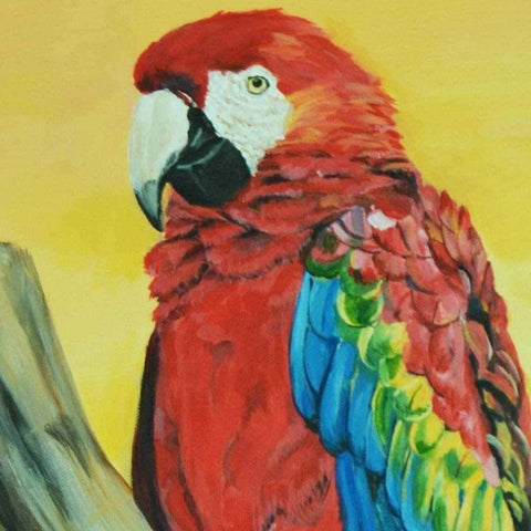 The Scarlet Macaw Acrylic Painting Buy Now on Artezaar.com Online Art Gallery Dubai UAE