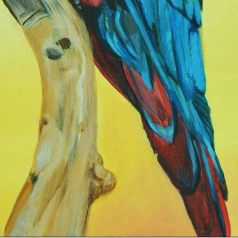 The Scarlet Macaw Acrylic Painting Buy Now on Artezaar.com Online Art Gallery Dubai UAE