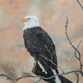 The White Head Eagle Acrylic Painting Buy Now on Artezaar.com Online Art Gallery Dubai UAE