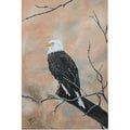 The White Head Eagle Acrylic Painting Buy Now on Artezaar.com Online Art Gallery Dubai UAE