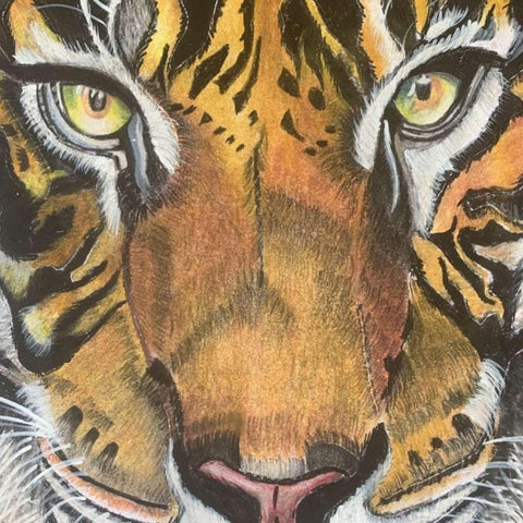 Tiger by Divya Singla Buy now on artezaar.com Online Art Gallery