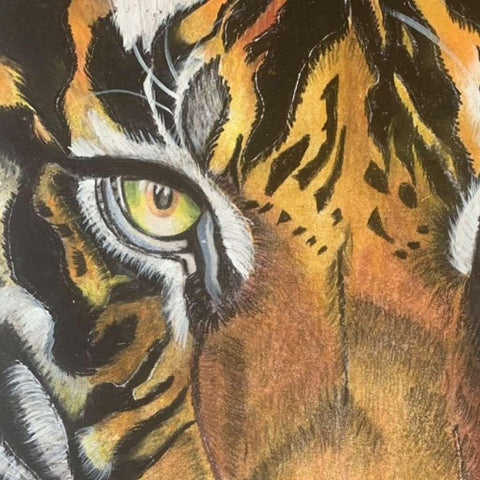 Tiger by Divya Singla Buy now on artezaar.com Online Art Gallery