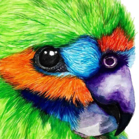 Tropical Hues - Artezaar.com Online Art Gallery