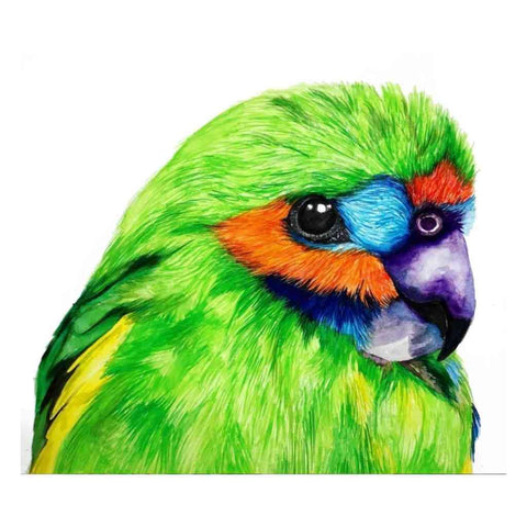 Tropical Hues - Artezaar.com Online Art Gallery