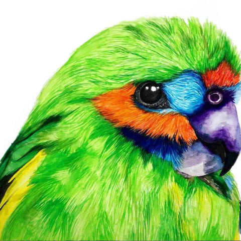 Tropical Hues - Artezaar.com Online Art Gallery