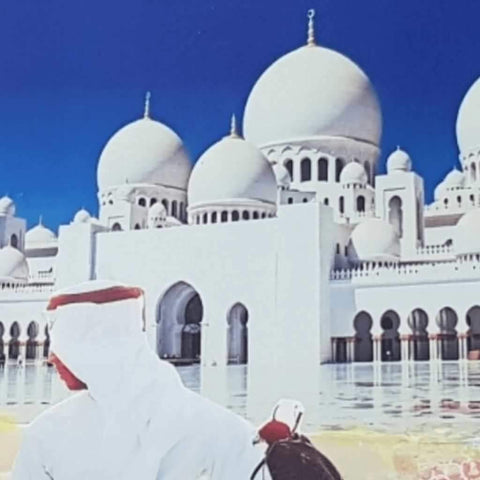 Wataniya Fine Art Mixed Media Painting Buy Now on Artezaar.com Online Art Gallery Dubai UAE